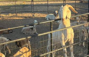 Peaceful & Cozy 3 bedroom Ranch-Home w/Fireplace - Foto 34