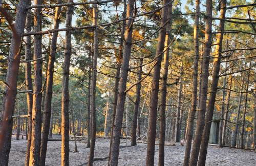 Nazare Uninterrupted Views and Sounds of the Sea - Foto 45
