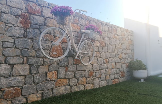 Maestralia - Foto 79