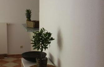 Ferienwohnung Nienhagen - Foto 16