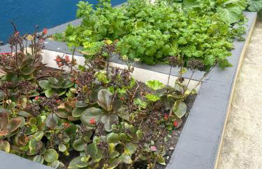 PÉ NA AREIA Apto Manfron - Foto 26