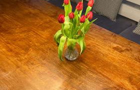 Brunos Haus - Foto 8