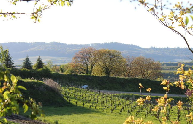 Brunnenhof Garden View - Foto 10