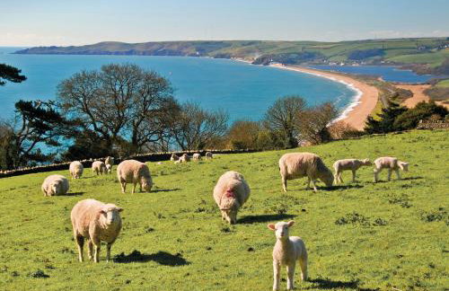 1 At The Beach - Foto 24