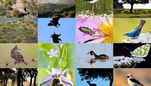 Casa Babel Monfragüe - Foto 3