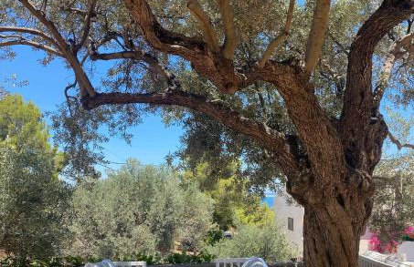 Filoxenia Studios - Foto 5