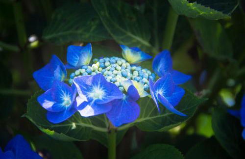 Location de La Ferme De Kerraoul - Foto 12