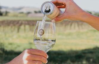 The Hive House at Castoro Cellars - Foto 32