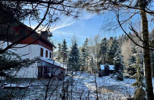 Sowia Enklawa - Foto 15