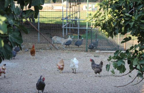 Cà Del Ponte - Foto 25