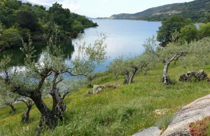 La Casa de Su - Foto 34