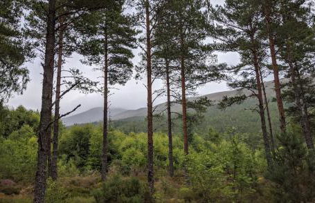 Stable Cottage, CrannachCottages - Foto 24