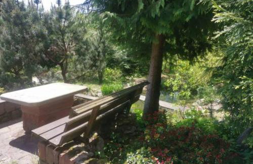 Jaworowy Stok z widokiem na góry i ogrodem - Foto 36