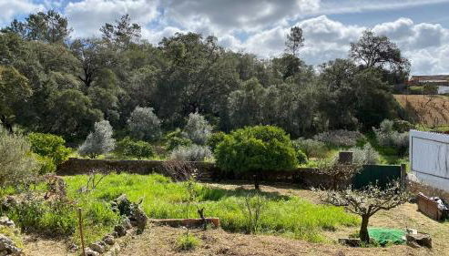 Casalinho in Portugal - Country House - Foto 5, Garden, Garden view
