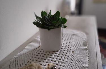 Casa in villaggio minerario vicino Massa Marittima - Foto 1