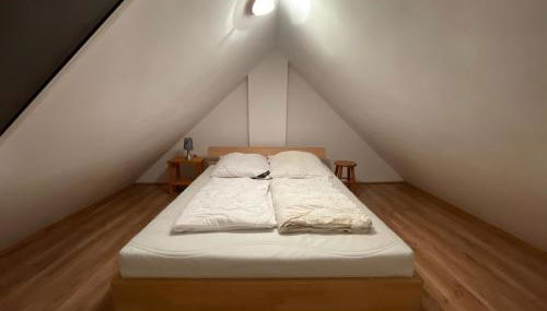 Hospoda-Ferienhaus am Olba-See - Foto 3