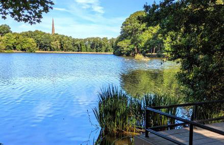 Lady Hill, Royal Hillsborough - Foto 40