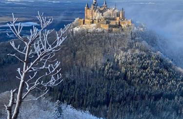 Burgblick Wohnung - Foto 11