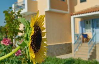 Villa Marita - Photo 42