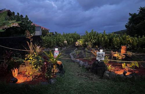 Stunning Ocean Views - Whale House Hawaii - Foto 35