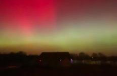 Wilczy Zew Private Spa & Nature - Foto 65