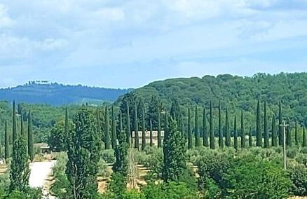 La casa di Elvira2 - Foto 39