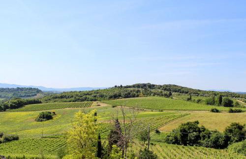 Fattoria San Donato - Foto 9