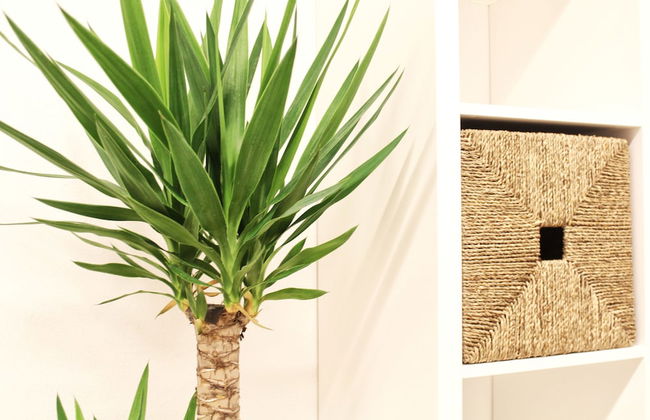 Boardinghouse Gaimersheim - Foto 41