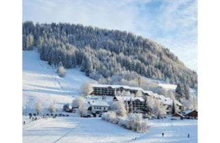 Ferienpark Oberallgäu - FeWo "Klatschmohn" Hallenbad & Sauna & WLAN - Foto 57