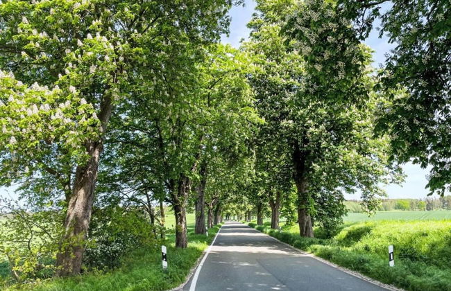 Peaceful Escape in Neu Karin - Photo 34