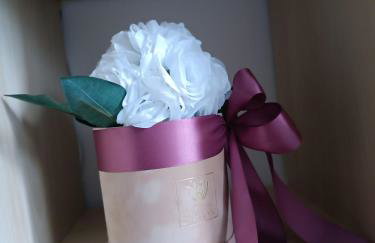 Apartman Vervis Varaždin - Foto 31