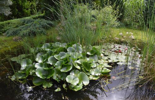 Twee Linden Nienhagen - Foto 23