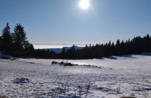 Aux balcons de la vallée - Foto 40