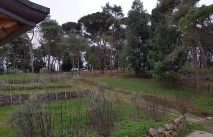 Agriturismo Podere Montese - Foto 132