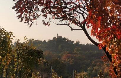 Holiday Home Vitis - Foto 38