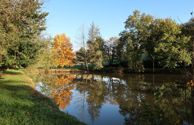 La Tronçonnais - Foto 27