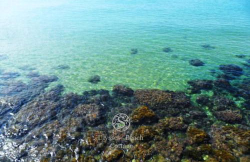 CASA con ACCESSO AL MARE - Foto 17