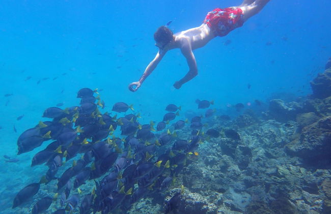 Galapagos and Beyond - Photo 25