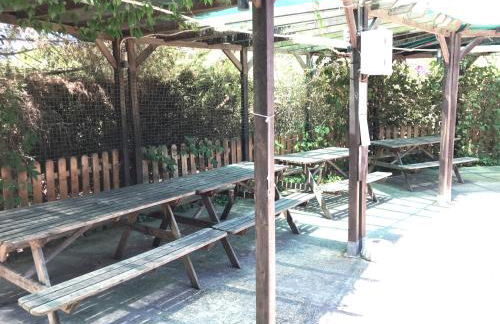 Playa San Miguel - Foto 38