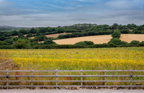 The Woodland Collection, 10 mins from beaches - Photo 3