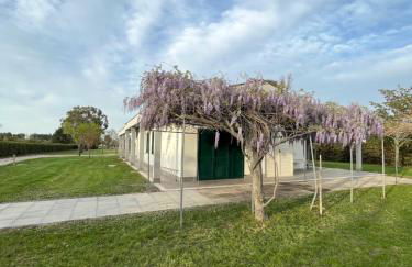 Cicale relaxing home - aria condizionata, parcheggio, giardino - Photo 6