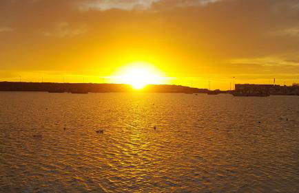 Villetta Le More - con Grande Giardino nel Cuore del Salento - Foto 48