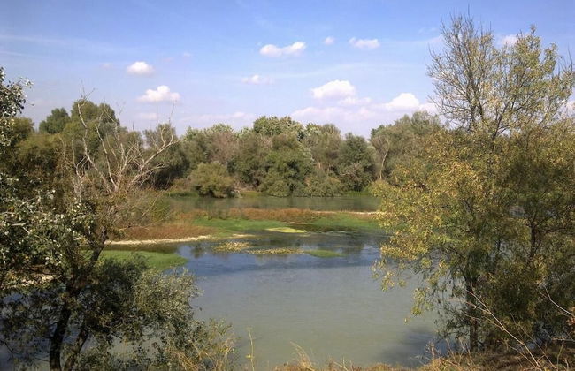 Rural House Near Zaragoza - Foto 21