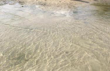 Wakacje Mazury, Willa Ametyst, cisza , ptasi śpiew , GRZYBY , RYBY - Foto 48