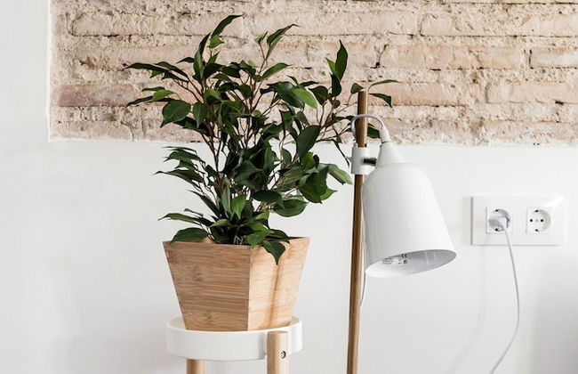 Unik Vacation Circus - Foto 21