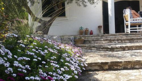 Villa Azzurra - casa vacanze - Foto 4, Garden