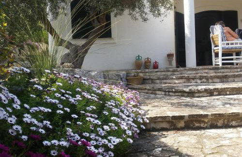 Villa Azzurra - casa vacanze - Foto 4