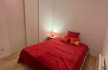 Appart T3 centre ville Castres - Photo 3