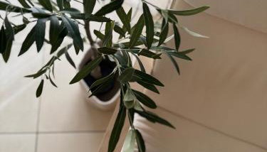 Apartment Roky - Foto 4