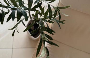 Apartment Roky - Foto 4